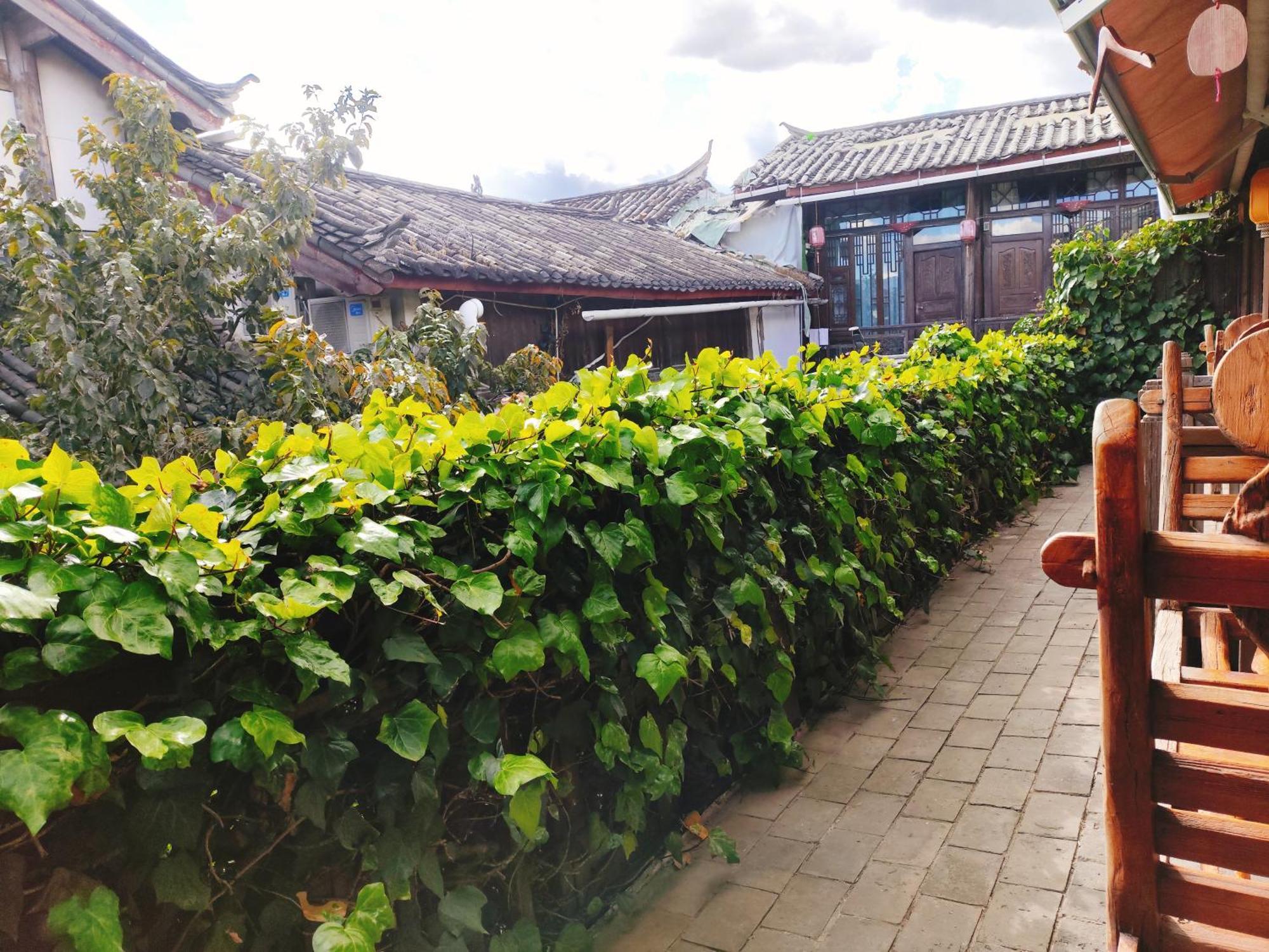 Big Tree Guesthouse - Naxi Old Style Lijiang  Exterior foto